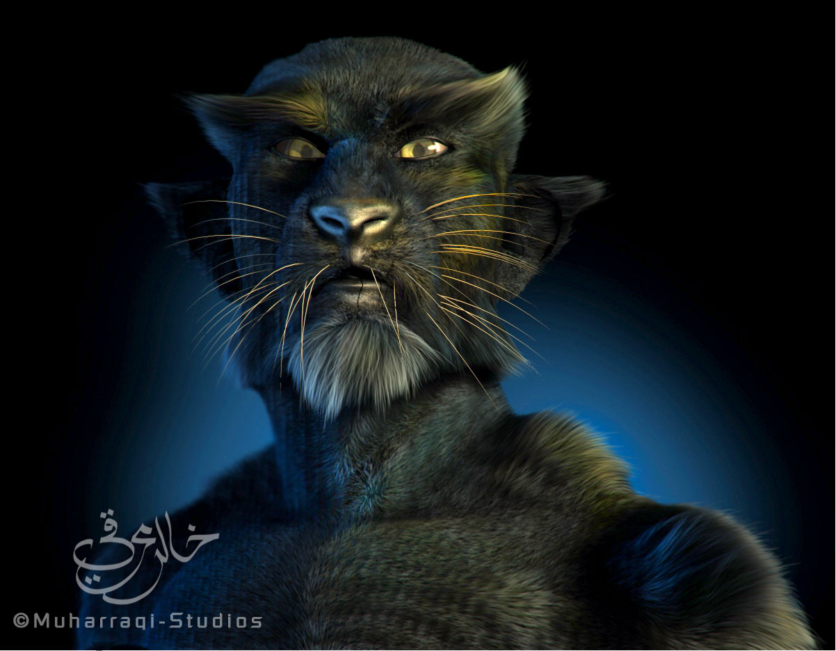 Cat man FFX test