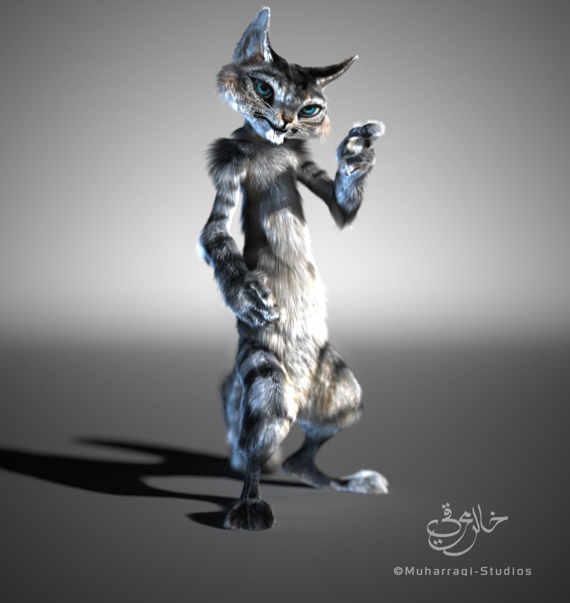 cat01