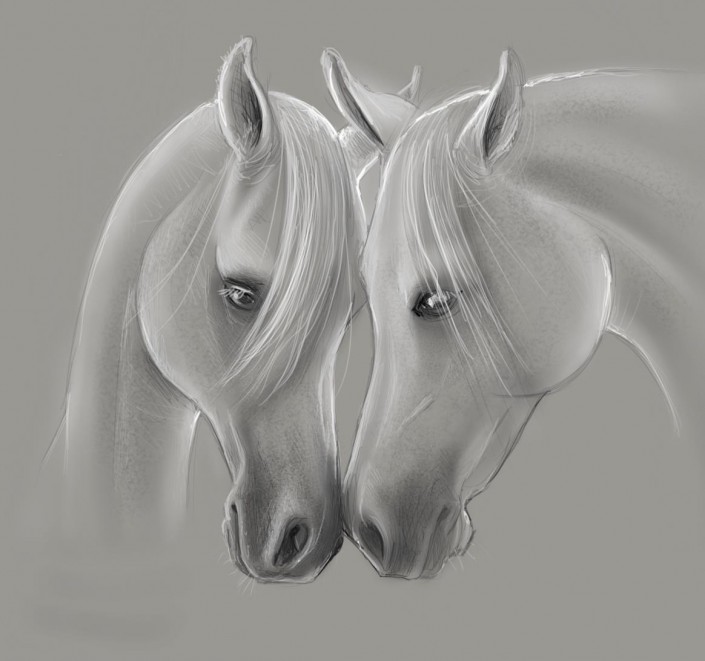 horse2